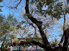 -北京国子监胡同
