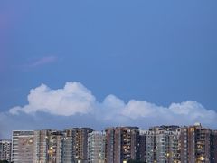 -立新湖公园