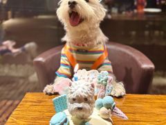 -百好乐宠物友好餐厅(朝外大街店)