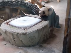 -常州淹城野生动物世界