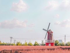 -羊亭河湿地公园