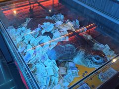 -胖子烧烤海鲜(亲贤北街店)