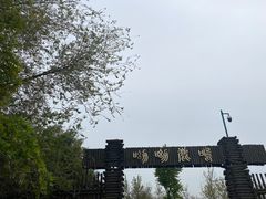 -泗洪洪泽湖湿地景区