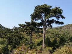 -妙峰山风景名胜区