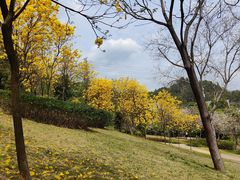 -中国移动南方基地