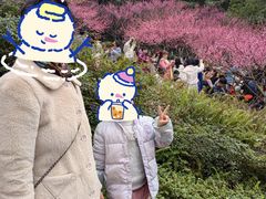 -重庆彩云湖湿地公园