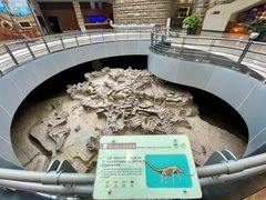 -自贡恐龙博物馆