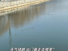 -百荣世贸商城