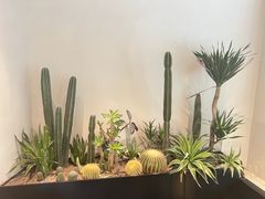 -J Create城市露营咖啡·简餐·宠物(上海动物园店)