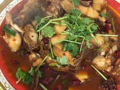 -煲来饱去冷水鱼