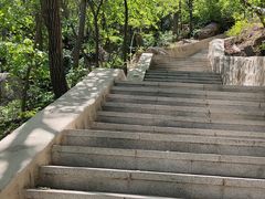 -大岭沟猕猴桃谷风景区