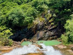 -广州白江湖森林公园