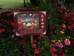 -合肥三国新城遗址公园