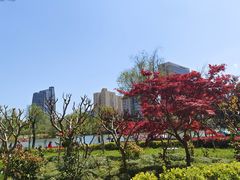 -黄兴公园