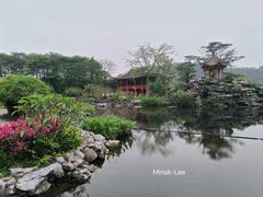 -顺峰山公园