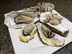 清蒸小生蚝-渔民船说·北塘海鲜·天津菜·海肠捞饭(北塘古镇店)