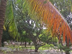 -吐斯廉屠杀博物馆