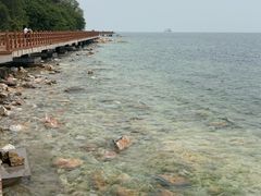 -养马岛旅游度假区