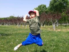 -永定河休闲森林公园