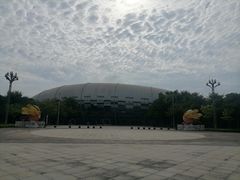 -广西体育中心-游泳馆