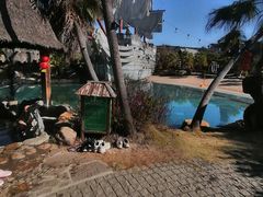 -天芳悦潭度假村温泉