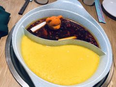 -青瓷火锅料理(西单大悦城店)