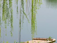 -中国天府农业博览园