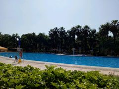 -珠海度假村游泳池