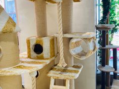 -藏猫猫咖啡主题馆(中央大道店)