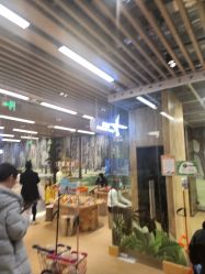 -小象动悟公园(龙湖亦庄天街店)
