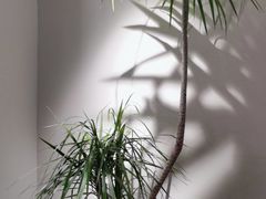 -花锦堂·隐庐