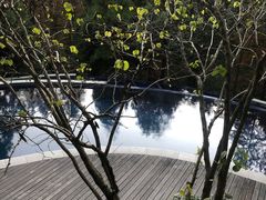 -裸心谷·裸心味餐厅