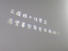 -成都失恋馆