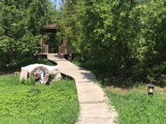 -蒙古大营(朝阳公园店)