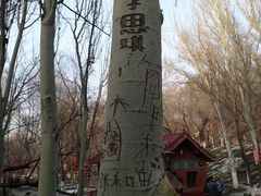 -水磨沟公园