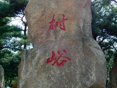 -鲁山国家森林公园