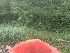 -新疆那拉提国家旅游度假区