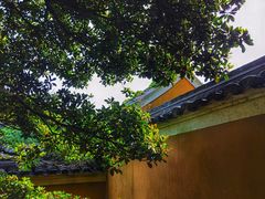 -普陀山慧济禅寺