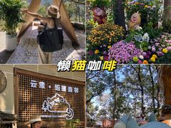 -沂蒙山旅游区云蒙景区(蒙山国家森林公园)