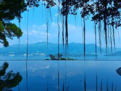 -大埔公路-马料水段香港中文大学(公交站)