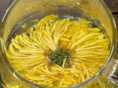 -殊德医馆