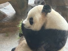-宁波野生动物园