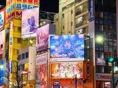 -秋叶原电器街