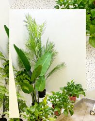 -VE专注问题肌·赛诺龙&科学美肤中心