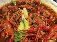 -京悦南门涮羊肉·羊蝎子火锅(田林路店)
