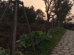 -美的鹭湖探索王国