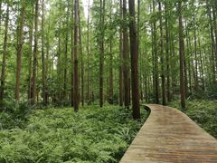 -上海怡沁园度假酒店