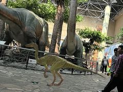 -国家自然博物馆