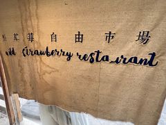 -野草莓自由市场