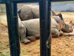 -泉州海丝野生动物世界